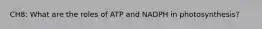 CH8: What are the roles of ATP and NADPH in photosynthesis?