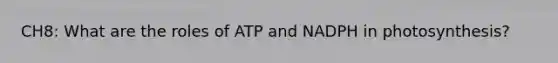 CH8: What are the roles of ATP and NADPH in photosynthesis?