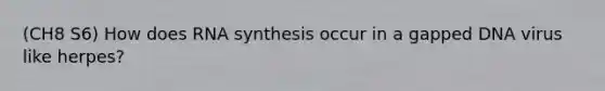 (CH8 S6) How does RNA synthesis occur in a gapped DNA virus like herpes?