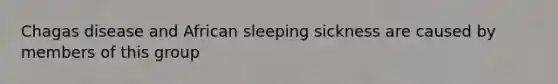 Chagas disease and African sleeping sickness are caused by members of this group