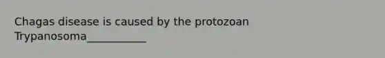 Chagas disease is caused by the protozoan Trypanosoma___________