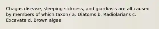 Chagas disease, sleeping sickness, and giardiasis are all caused by members of which taxon? a. Diatoms b. Radiolarians c. Excavata d. Brown algae