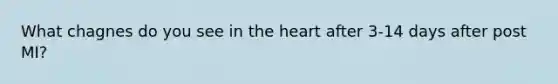 What chagnes do you see in the heart after 3-14 days after post MI?