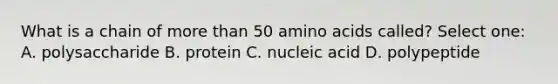 What is a chain of more than 50 amino acids called? Select one: A. polysaccharide B. protein C. nucleic acid D. polypeptide