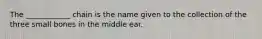 The ____________ chain is the name given to the collection of the three small bones in the middle ear.