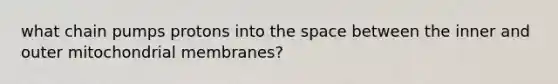 what chain pumps protons into <a href='https://www.questionai.com/knowledge/k0Lyloclid-the-space' class='anchor-knowledge'>the space</a> between the inner and outer mitochondrial membranes?