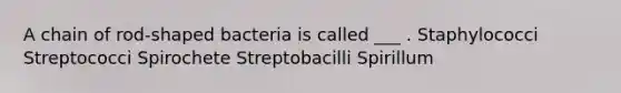 A chain of rod-shaped bacteria is called ___ . Staphylococci Streptococci Spirochete Streptobacilli Spirillum