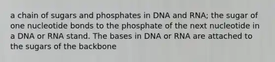 a chain of sugars and phosphates in DNA and RNA; the sugar of one nucleotide bonds to the phosphate of the next nucleotide in a DNA or RNA stand. The bases in DNA or RNA are attached to the sugars of the backbone