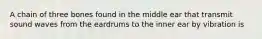 A chain of three bones found in the middle ear that transmit sound waves from the eardrums to the inner ear by vibration is