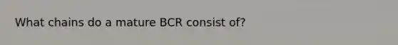 What chains do a mature BCR consist of?