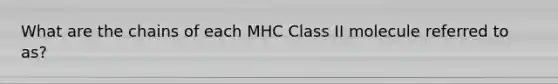 What are the chains of each MHC Class II molecule referred to as?