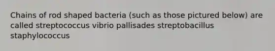 Chains of rod shaped bacteria (such as those pictured below) are called streptococcus vibrio pallisades streptobacillus staphylococcus