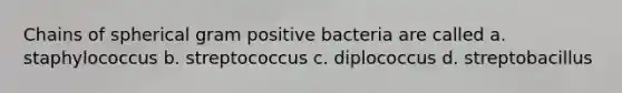 Chains of spherical gram positive bacteria are called a. staphylococcus b. streptococcus c. diplococcus d. streptobacillus