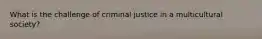 What is the challenge of criminal justice in a multicultural society?