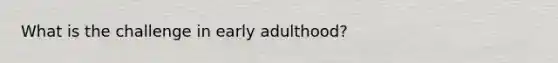 What is the challenge in early adulthood?