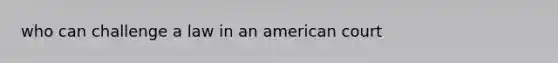 who can challenge a law in an american court