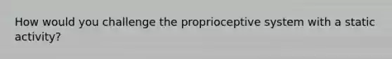 How would you challenge the proprioceptive system with a static activity?