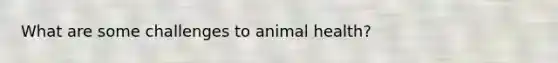 What are some challenges to animal health?