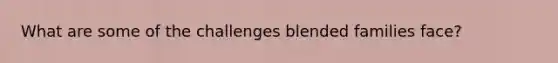 What are some of the challenges blended families face?