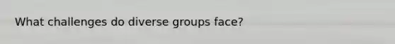 What challenges do diverse groups face?