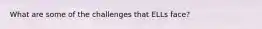 What are some of the challenges that ELLs face?