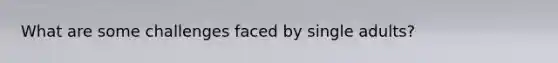 What are some challenges faced by single adults?