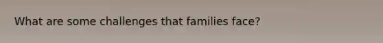 What are some challenges that families face?