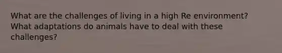 What are the challenges of living in a high Re environment? What adaptations do animals have to deal with these challenges?