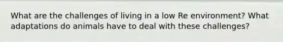 What are the challenges of living in a low Re environment? What adaptations do animals have to deal with these challenges?