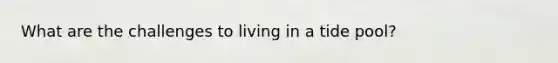 What are the challenges to living in a tide pool?