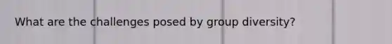 What are the challenges posed by group diversity?