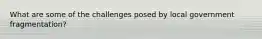 What are some of the challenges posed by local government fragmentation?