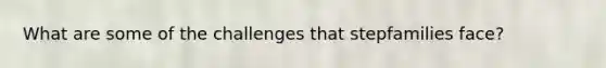 What are some of the challenges that stepfamilies face?