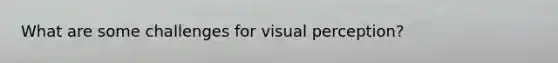 What are some challenges for visual perception?