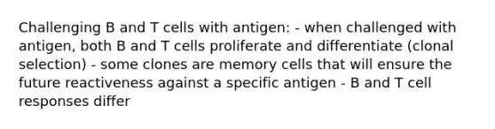 Challenging B and T cells with antigen: - when challenged with antigen, both B and T cells proliferate and differentiate (clonal selection) - some clones are memory cells that will ensure the future reactiveness against a specific antigen - B and T cell responses differ