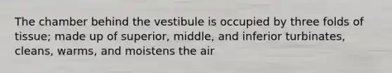 The chamber behind the vestibule is occupied by three folds of tissue; made up of superior, middle, and inferior turbinates, cleans, warms, and moistens the air