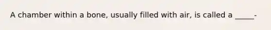 A chamber within a bone, usually filled with air, is called a _____-