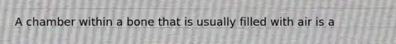 A chamber within a bone that is usually filled with air is a