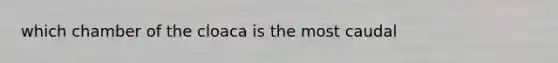 which chamber of the cloaca is the most caudal