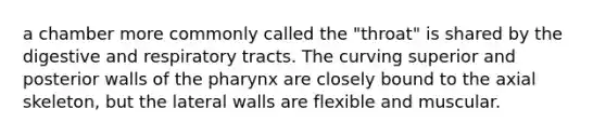 a chamber more commonly called the "throat" is shared by the digestive and respiratory tracts. The curving superior and posterior walls of <a href='https://www.questionai.com/knowledge/ktW97n6hGJ-the-pharynx' class='anchor-knowledge'>the pharynx</a> are closely bound to the axial skeleton, but the lateral walls are flexible and muscular.