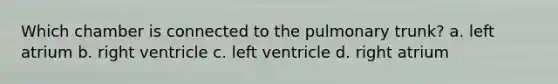 Which chamber is connected to the pulmonary trunk? a. left atrium b. right ventricle c. left ventricle d. right atrium