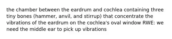 the chamber between the eardrum and cochlea containing three tiny bones (hammer, anvil, and stirrup) that concentrate the vibrations of the eardrum on the cochlea's oval window RWE: we need the middle ear to pick up vibrations