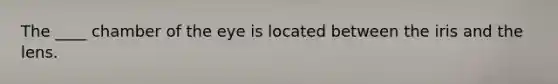 The ____ chamber of the eye is located between the iris and the lens.