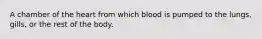 A chamber of the heart from which blood is pumped to the lungs, gills, or the rest of the body.