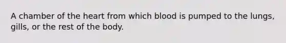 A chamber of the heart from which blood is pumped to the lungs, gills, or the rest of the body.
