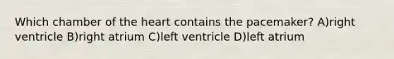 Which chamber of the heart contains the pacemaker? A)right ventricle B)right atrium C)left ventricle D)left atrium