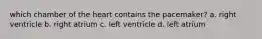 which chamber of the heart contains the pacemaker? a. right ventricle b. right atrium c. left ventricle d. left atrium