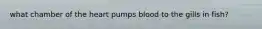 what chamber of the heart pumps blood to the gills in fish?