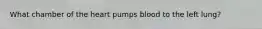 What chamber of the heart pumps blood to the left lung?