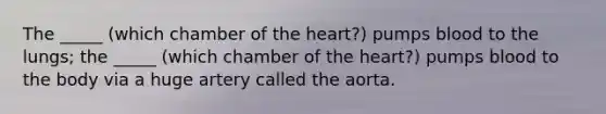 The _____ (which chamber of the heart?) pumps blood to the lungs; the _____ (which chamber of the heart?) pumps blood to the body via a huge artery called the aorta.